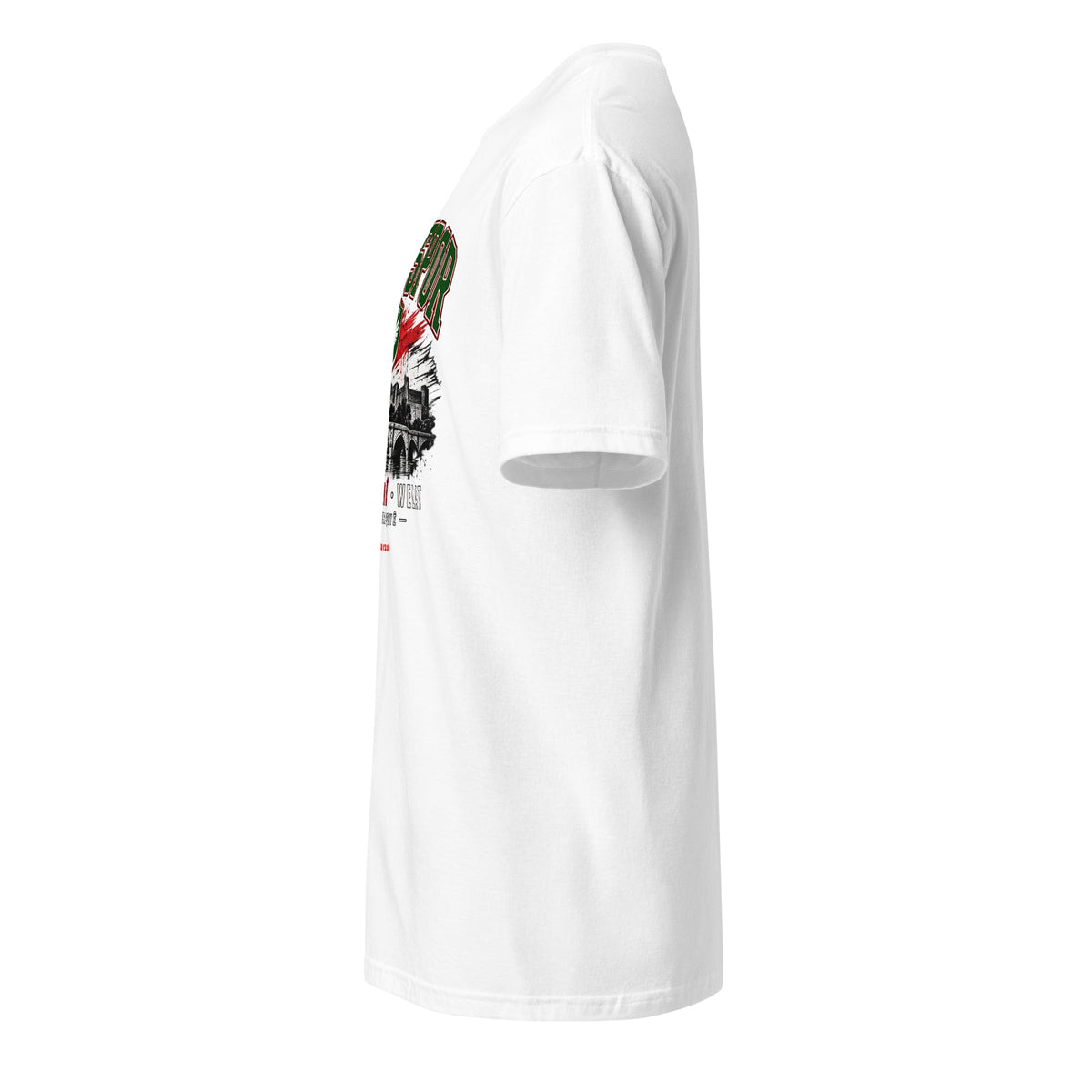 Amedspor - T-Shirt Kurdish Fanshop